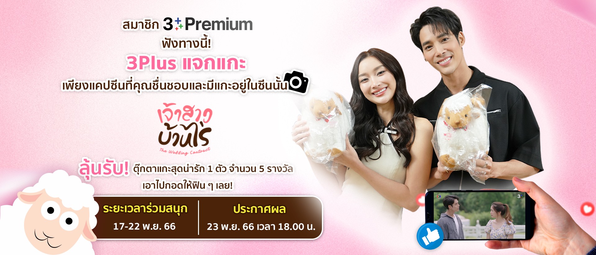 กิจกรรม 3Plus แจกแกะ