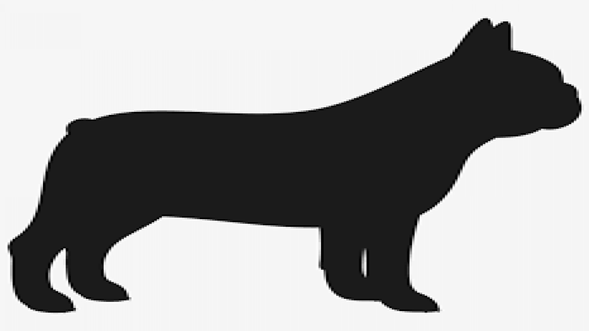 [TH] A003 - รุ่น 60 ปี